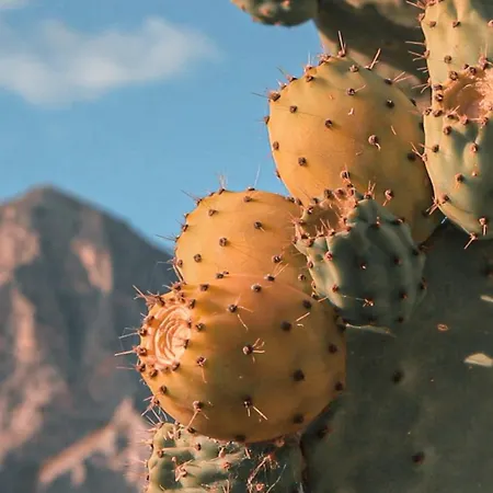 Cala Buguto 酒店 *